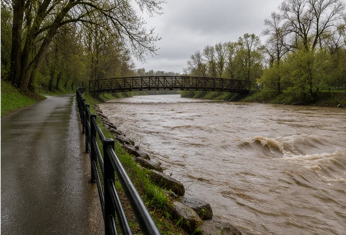 Creek running high and muddy against its banks beside a wet trail after heavy rainfall